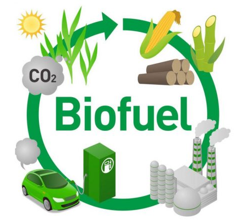 Biofuel research